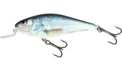 Salmo Executor 5cm Shallow Runner